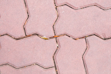 Obraz premium old brick floor texture