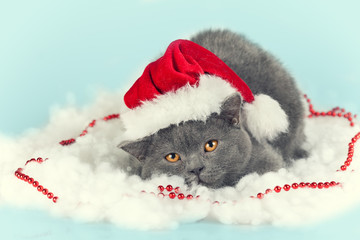 Little kitten wearing santa hat on Christmas background