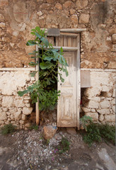 door of a house