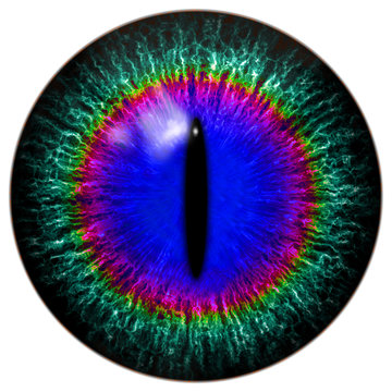 Green-blue alien, predator or cat, reptile eye with narrow pupil and rainbow circle around it