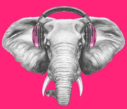 Portrait of Elephant with headphones. Hand drawn illustration.