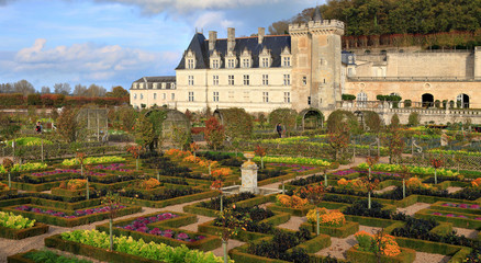 Fototapeta na wymiar Jardins du château de Villandry, Château de la Loire