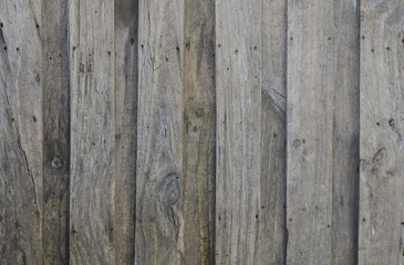 abstract grunge wood texture background / Wood Texture