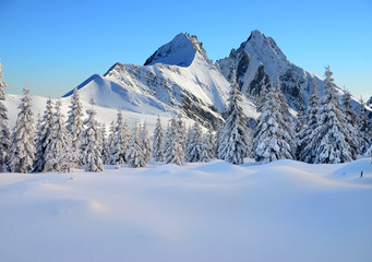 Obraz premium Drzewa pokryte śniegiem i wysokimi śnieżnymi górami