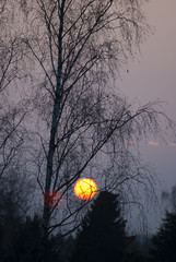 Winterlicher Sonnenuntergang