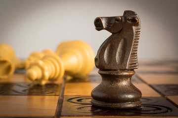 Scacchi fotografati su una scacchiera © carlofornitano66