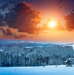 Fototapeta na wymiar Colorful winter sunrise in the mountains. Fantastic morning glowing by sunlight. View of the fog and snow tops.