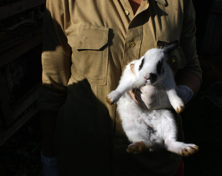 Woman holding white rabbit.