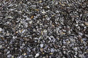 background of organic material