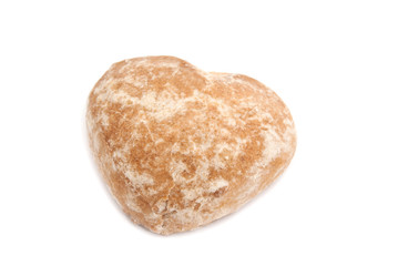 single tasty gingerbread on white