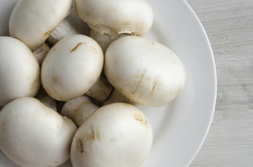 Fried rolls of pita with cheese