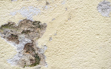 Bauschaden Schimmel Feuchte Hauswand Aussen