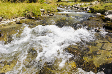 Gebirgsbach in Südtirol