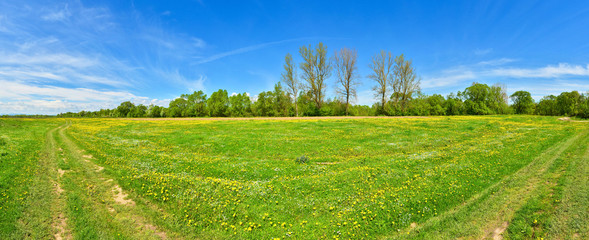 Fototapeta premium Spring countryside
