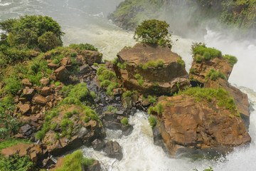Naklejka na ściany i meble Iguazu Park from the Top of Waterfalls