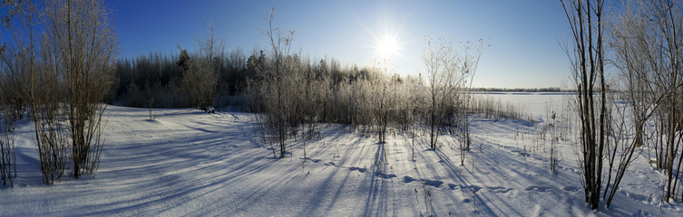 Obraz premium Footprints in the snow leading into the forest.Panorama