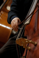 Hand of a man playing the contrabass