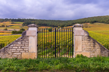 clos bourguignon