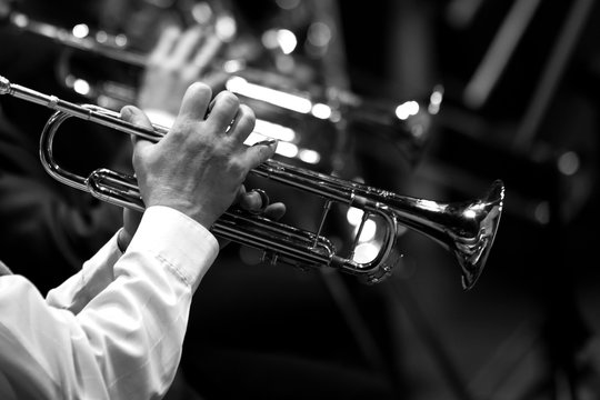  Pipes in the hands of the musicians in the orchestra in black and white