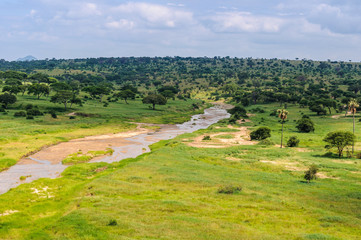 View of the river in the Tarangire Park, Tanzania
