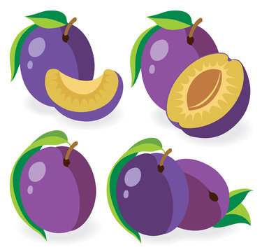 Collection of vector plums