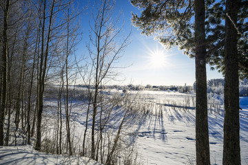 Winter landscape with bright sun