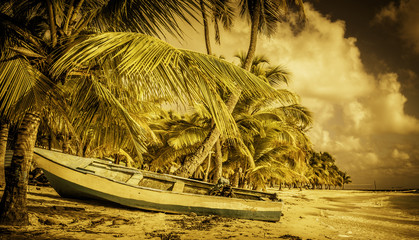 Golden caribbean beach