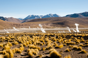 Fototapeta premium El Tatio Geyser Field at Dawn - Chile