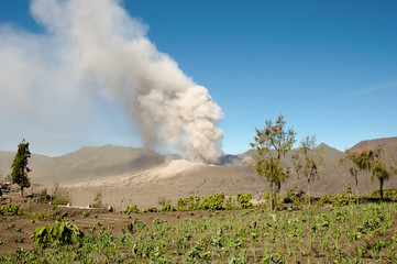 Mount Bromo - Indonesia