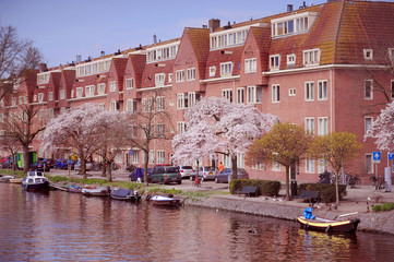 Amsterdam Canal at Spring Time
