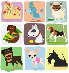 nine dog breeds