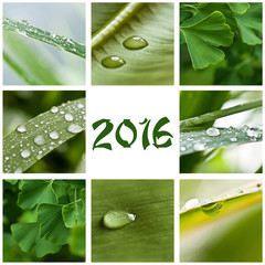 composition nature et pluie 2016