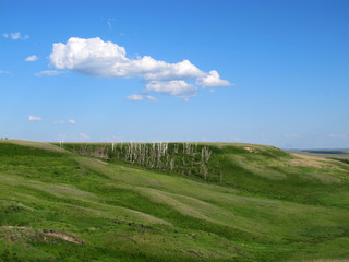 Steppe hill slopes against a blue sky