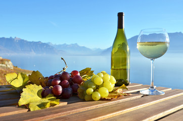 Wine and grapes against Geneva lake, Switzerland