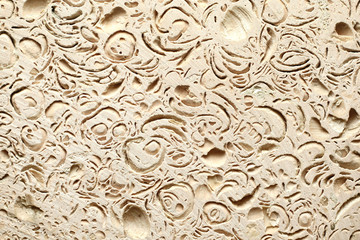 coquina background texture.