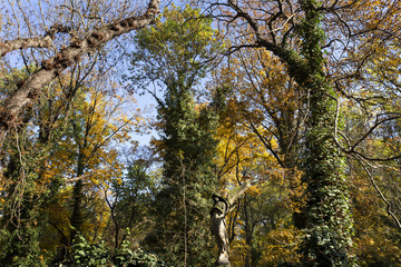 Historic Angel from the old Prague Cemetery, Czech Republic