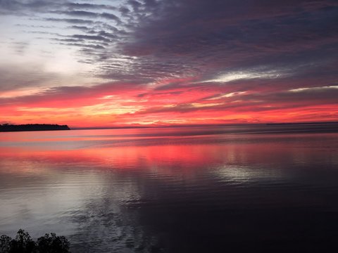 Fototapeta sunrise in boggy
