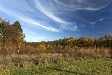 Fototapeta premium Colorful autumn Landscape in Bohemia