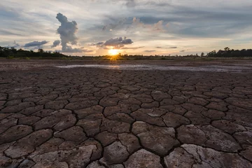 Foto op Plexiglas Soil drought cracked landscape sunset © yotrakbutda