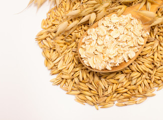 grain oats and oatmeal