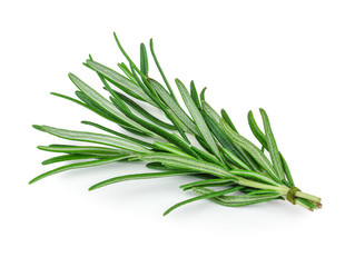 Fototapeta premium rosemary5