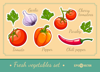 Set of fresh organic vegetables cherry tomato pepper garlic