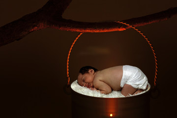 Śpiące niemowlę w wiaderku na gałęzi drzewa. - obrazy, fototapety, plakaty
