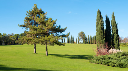 Autumn Landscape. Park in Autumn.