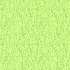 seamless background with fern leaves