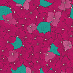 Beautiful seamless background with flower hydrangea . Hand-drawn contour lines and strokes.