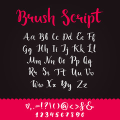 Brush script with lowercase and uppercase letters, keystrokes and digits. Full alphabet handwritten with brushpen. Vector calligraphic english abc