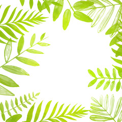 Obraz premium Spring and summer square frame with bright green tropical leaves