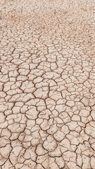 Desert landscape background