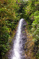 Tropical Waterfall In Amazonia Jungle © APS